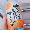 こもれび。