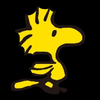 ひよこ🐤