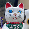 クエス