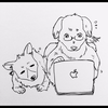 くまち🐣🍓