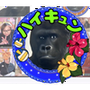 ハイキュン