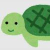 ひろ🐢