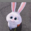 スノボー