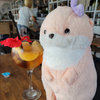 🐈🍓🍷🦐あずにゃん🎰🐈