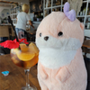 🐈🍓🍷あずにゃん💧‬💧‬🐈