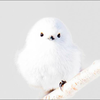 そら