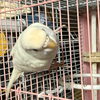 ユーザーアイコン