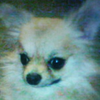 YASU