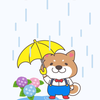 しろちゃん