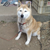まーくん🏍🐕‍🦺🐾