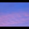 空ソムリエ🏹🩷