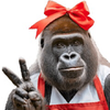 雌ゴリ🦍
