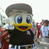 YAMA