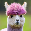 同級生のラマ🦙💋