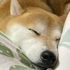 みおあり🥳