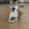 あーたん（あーたそ）ほわほわず☺️🫧