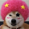 8月15誕生日あーたん☺️🫧‪残り3日