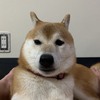 あーたん(あーたそ)☺️🫧(ホワホワず)