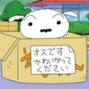 🌧🌙🧸🍑misakichi