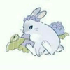 無音📳 さくら🌸🐰🍫