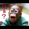 ゆう