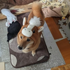捺綺🐕𓆩︎🩷𓆪#