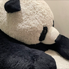 ゴロゴロパンダ🐼