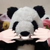 笹くれファイナンス🐼‪🌿💖