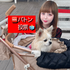 パトン🆘Tomo🐾🖤#わんわん総選挙🐶