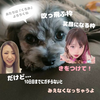 ゆーゆ