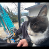 まつもん