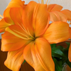 こはな🌼🧡mama