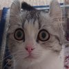 まさぽん🐱💕🕳️