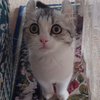 まさぽん🐱💕  