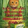 🤗𝐜𝐡𝐢𝐞🌈🐺29日たけのこ🎋