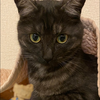 なめくじの下僕