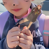 🦋🩶ここ🐰🩷🥰❤️