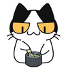 まさぽん🐱🍵