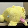 こーた