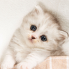 世界で一番かわいいみねかちゃん💎🤍⠀