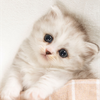 世界で一番かわいいみねかちゃん💎🤍⠀