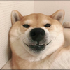 タロヤマ
