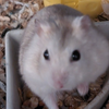 taka