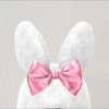 チャンミー🐰🏀🤍