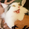 🐽・๑）もぐもぐⓄⓃⒶⓀⒶⓅⓅⒶⒾ🐰🧁
