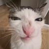 かのん