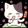 🐈‍⬛ ͗花よりにゃぁぁぁぁぁぁご🍡