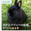 キミちゃん👻🐰👻   