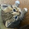 😊ニベアまみれのナベちん😊