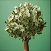 🌳金のなる木💴🐈🩰